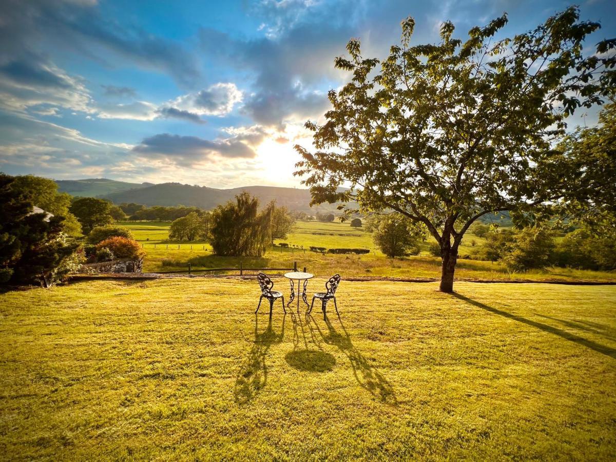 Hares Hideaway At Coed Moelfa Bed & Breakfast Corwen Ngoại thất bức ảnh