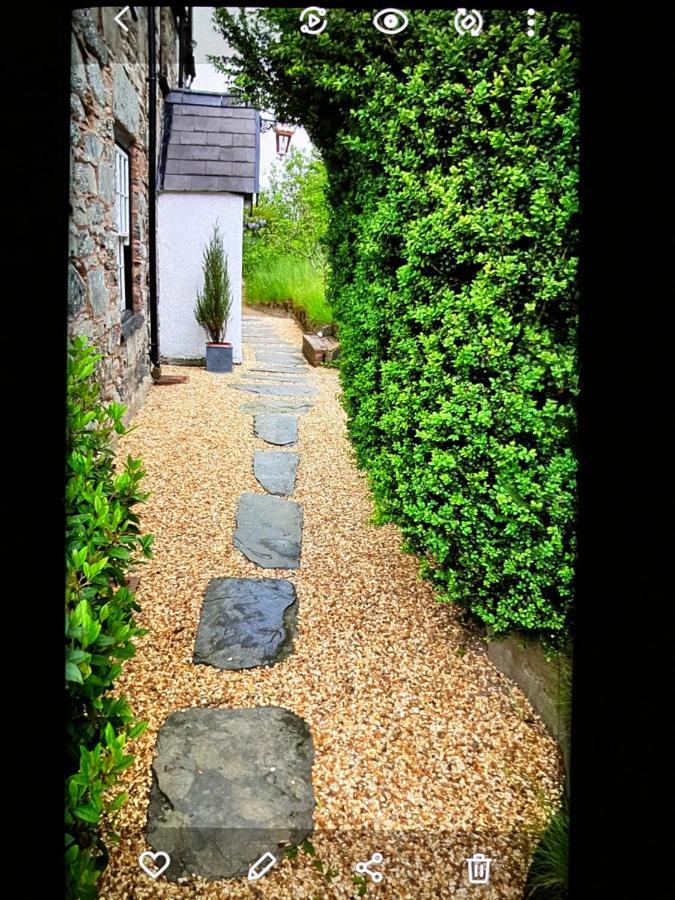 Hares Hideaway At Coed Moelfa Bed & Breakfast Corwen Ngoại thất bức ảnh